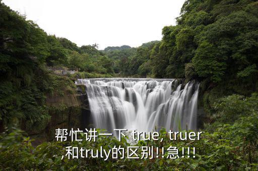 true名詞,true可用作名詞 形容詞(實、例）