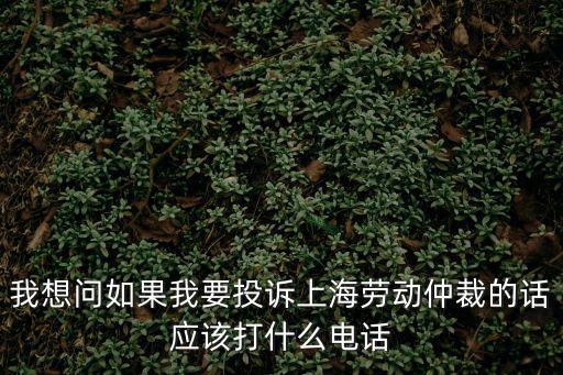 上海市勞動仲裁的電話號碼是多少，上海勞動局電話