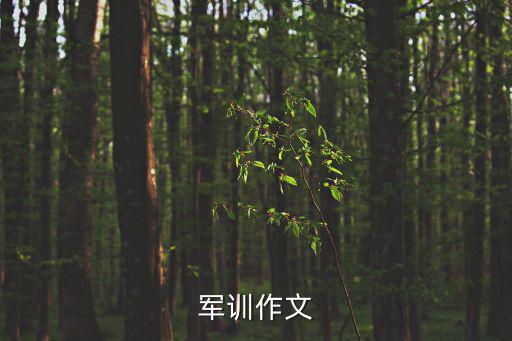 軍訓(xùn)作文
