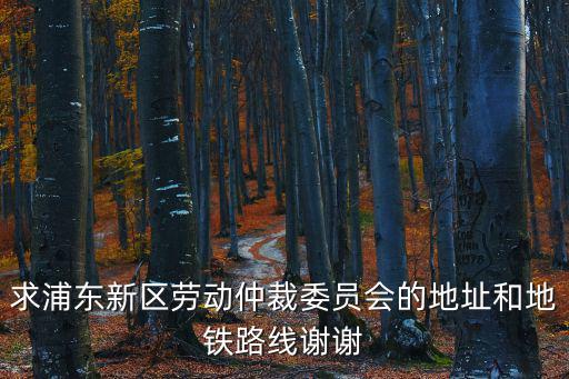 求浦東新區勞動仲裁委員會的地址和地鐵路線謝謝