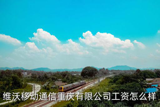 維沃移動通信重慶有限公司工資怎么樣