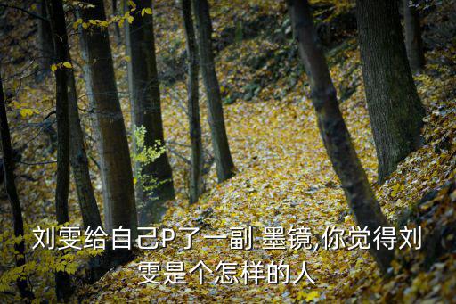 劉雯給自己P了一副 墨鏡,你覺得劉雯是個怎樣的人