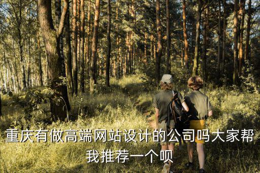 重慶有做高端網(wǎng)站設(shè)計的公司嗎大家?guī)臀彝扑]一個唄