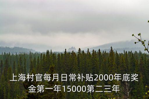 上海村官每月日常補貼2000年底獎金第一年15000第二三年