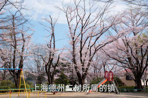 上海市德州二村，上海德州二村所屬的鎮(zhèn)
