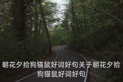 朝花夕拾狗貓鼠好詞好句關于朝花夕拾狗貓鼠好詞好句