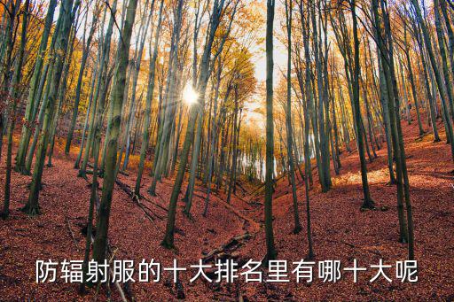防輻射服的十大排名里有哪十大呢
