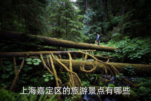 上海嘉定區(qū)的旅游景點有哪些