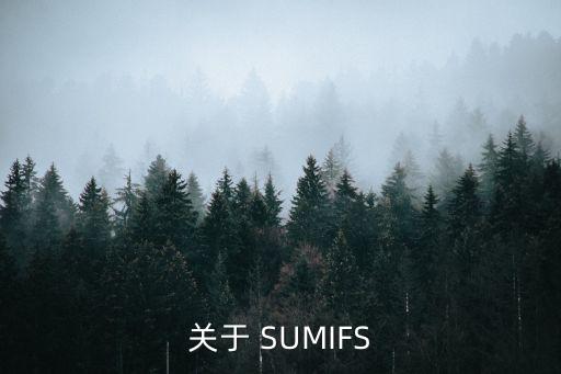 關于 SUMIFS