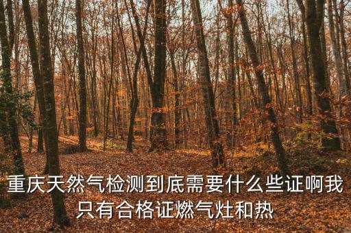 重慶天然氣檢測到底需要什么些證啊我只有合格證燃氣灶和熱