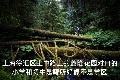 上海徐匯區上中路上的鑫隆花園對口的小學和初中是哪所好像不是學區