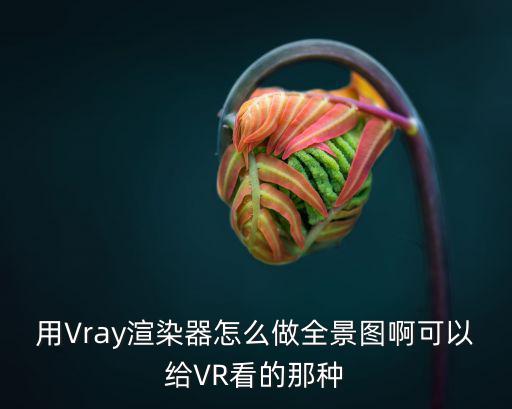 用Vray渲染器怎么做全景圖啊可以給VR看的那種