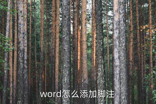 word怎么添加腳注