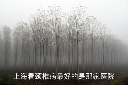 上海看頸椎病最好的是那家醫院