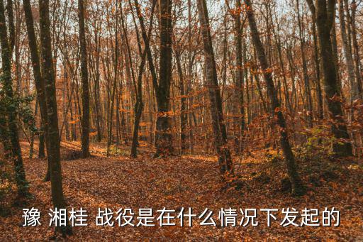 豫湘桂戰役,抗戰以來第二次!中國在湘桂戰役中再次敗退