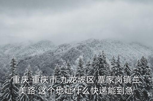 重慶 重慶市 九龍坡區 覃家崗鎮蘭美路 這個地址什么快遞能到急
