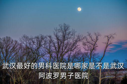 武漢最好的男科醫(yī)院是哪家是不是武漢阿波羅男子醫(yī)院