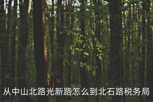 上海市稅務(wù)局中山北路，從中山北路光新路怎么到北石路稅務(wù)局