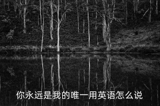 你是我的唯一用英語怎么說，你是我唯一英語怎么寫
