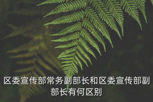 區(qū)委宣傳部副部長(zhǎng)級(jí)別，區(qū)委宣傳部常務(wù)副部長(zhǎng)和區(qū)委宣傳部副部長(zhǎng)有何區(qū)別