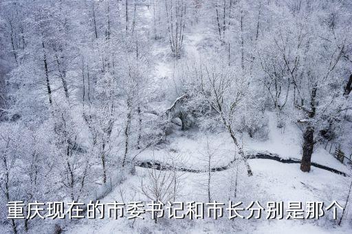 重慶現在的市委書記和市長分別是那個