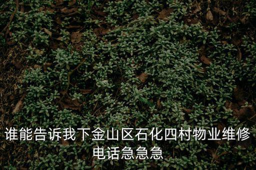 誰能告訴我下金山區石化四村物業維修電話急急急