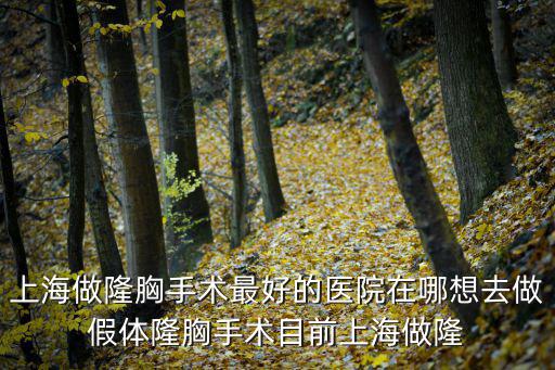 上海市徐匯區(qū)漕寶路淋美整形醫(yī)院，上海假體隆胸醫(yī)院哪家好聽(tīng)說(shuō)假體隆胸可以彌補(bǔ)天生胸部發(fā)育不良