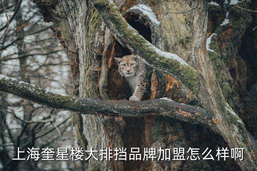 上海奎星樓大排擋品牌加盟怎么樣啊