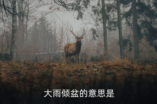 大雨傾盆的意思,雨大如盆里的水倒下來比喻大勢已去的雨