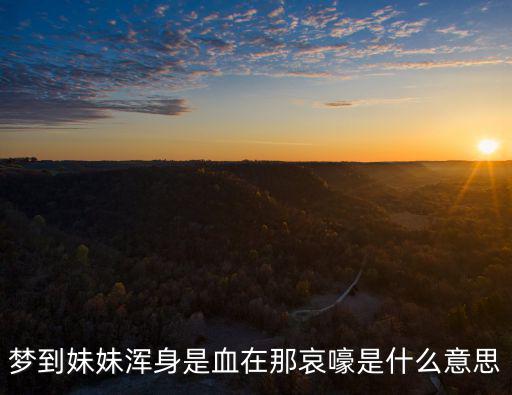 夢到妹妹渾身是血在那哀嚎是什么意思