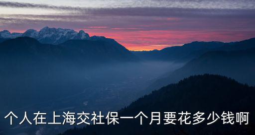 個人在上海交社保一個月要花多少錢啊