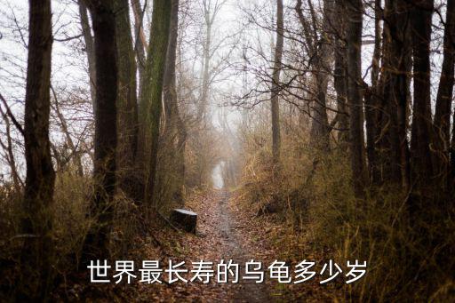 世界最長壽的烏龜多少歲