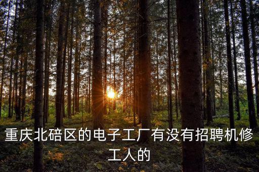 重慶北碚區的電子工廠有沒有招聘機修工人的