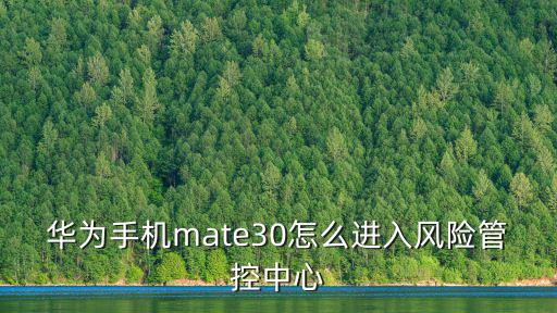 華為手機mate30怎么進入風險管控中心