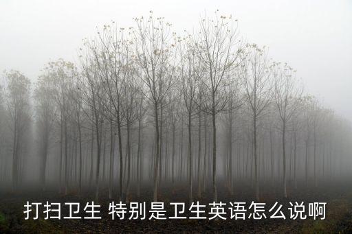 打掃衛(wèi)生 特別是衛(wèi)生英語怎么說啊