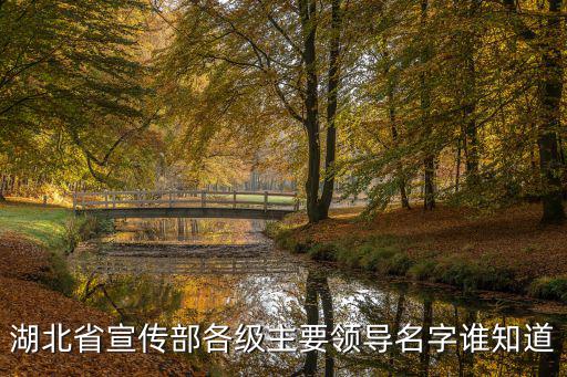 湖北省宣傳部各級主要領導名字誰知道
