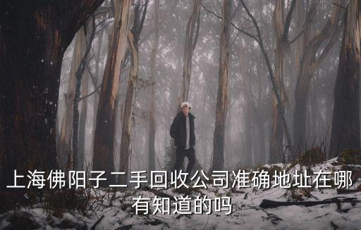 上海佛陽子二手回收公司準確地址在哪 有知道的嗎