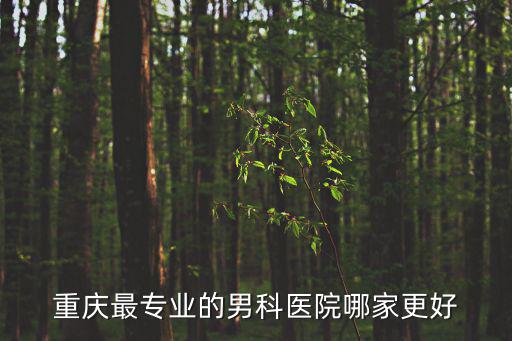 重慶最專業(yè)的男科醫(yī)院哪家更好