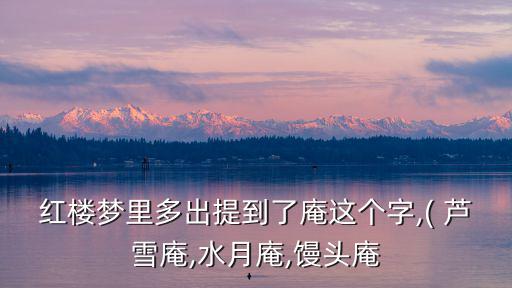 紅樓夢里多出提到了庵這個字,( 蘆雪庵,水月庵,饅頭庵