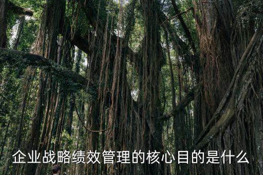 企業戰略績效管理的核心目的是什么