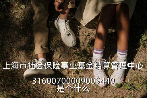 上海市社會保險事業(yè)基金結(jié)算管理中心31600700009009449是個什么