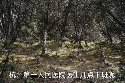 杭州第一人民醫(yī)院醫(yī)生幾點下班呢