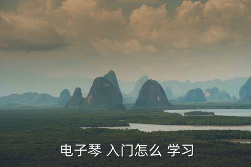  電子琴 入門怎么 學(xué)習(xí)