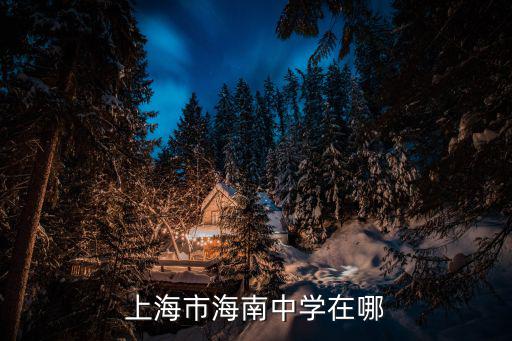 上海市海南中學74屆視頻，上海市海南中學在哪