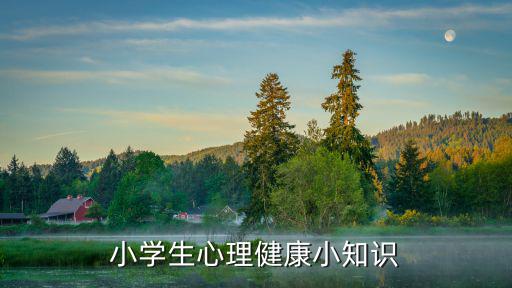 小學(xué)生心理健康小知識(shí)