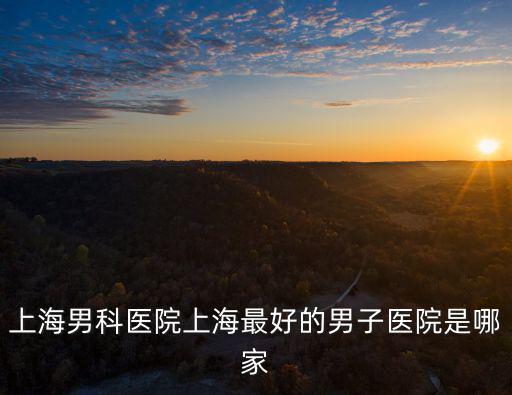 上海市男科醫院排行榜前十名，上海男科醫院上海最好的男子醫院是哪家