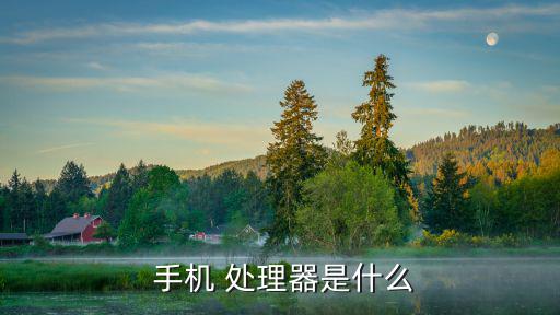  手機(jī) 處理器是什么