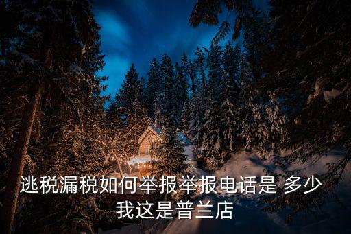 逃稅漏稅如何舉報舉報電話是 多少 我這是普蘭店
