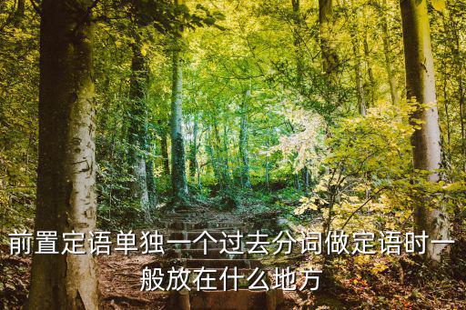 前置定語，英語前置定語是什么