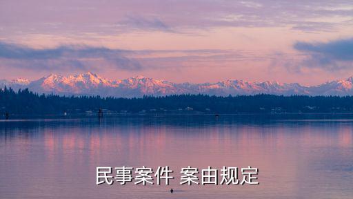 案由規(guī)定,民事案由規(guī)定下的民事訴訟案由是這樣規(guī)定的